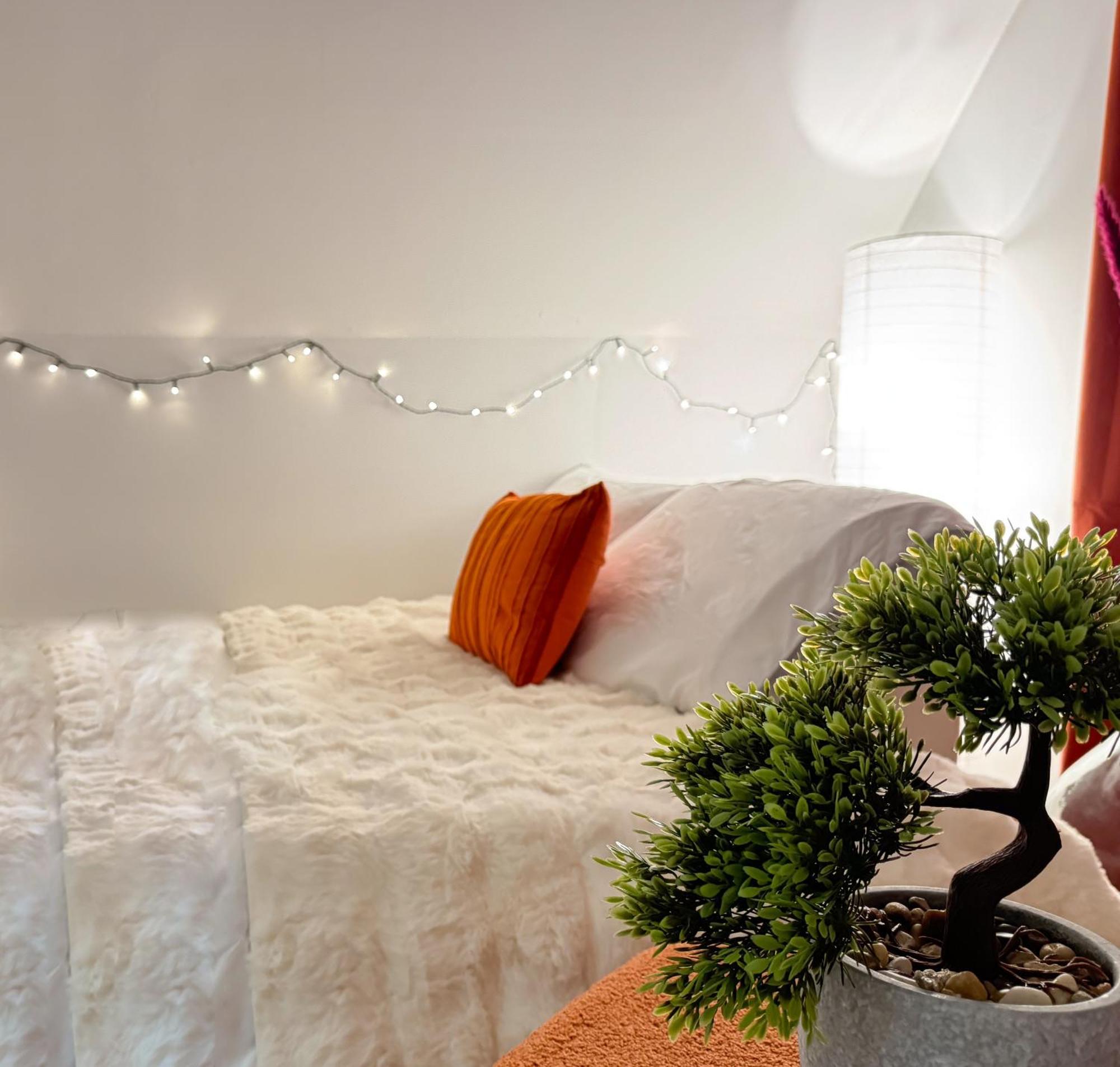 شقة La Douceur - Hypercentre Pieton De Troyes - Cozy المظهر الخارجي الصورة