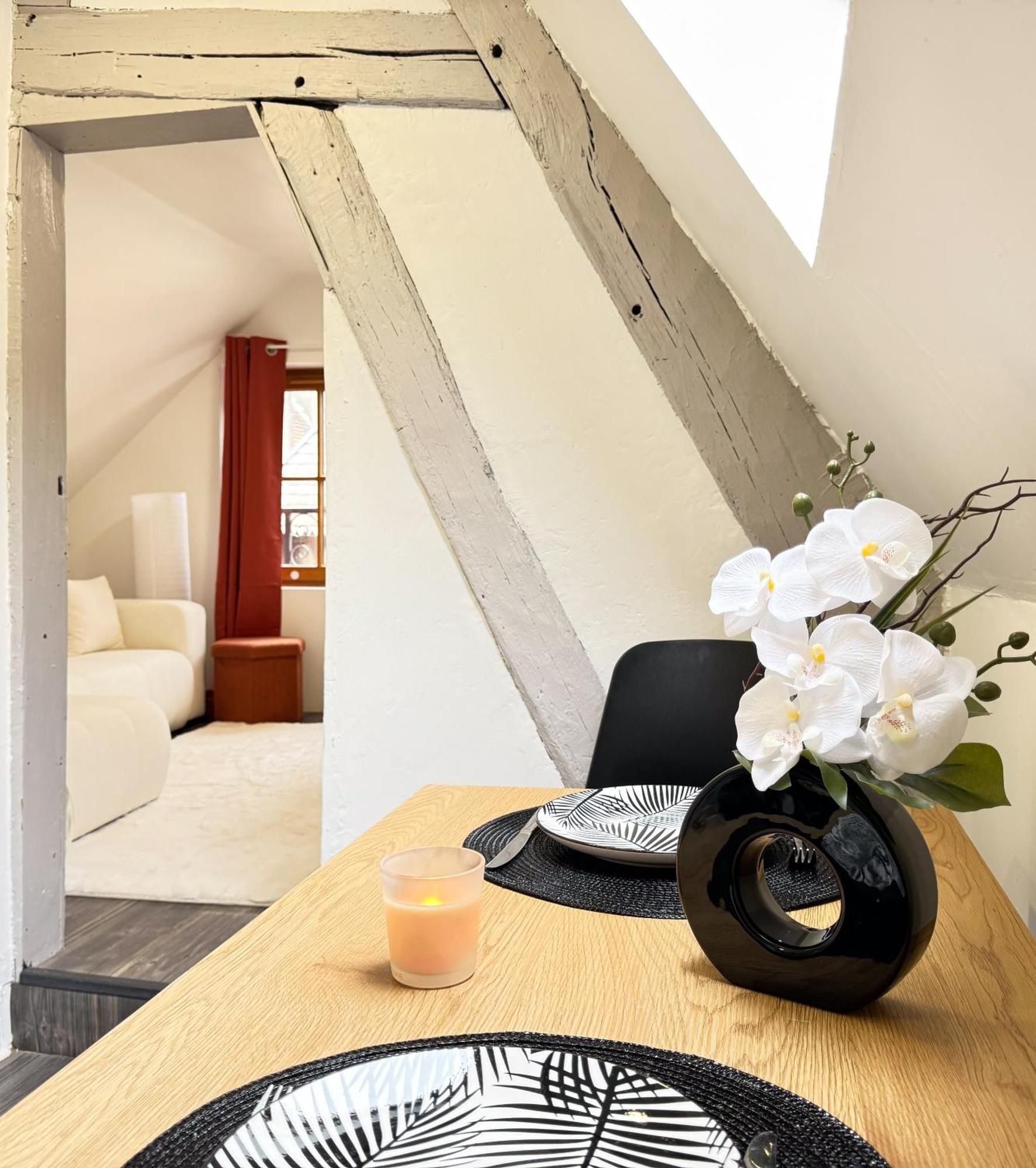 شقة La Douceur - Hypercentre Pieton De Troyes - Cozy المظهر الخارجي الصورة